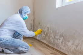 Best Attic Mold Removal  in Bellemont, AZ